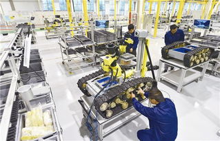 智能制造新模式 特種機(jī)器人制造智能化工廠 項目順利通過驗收