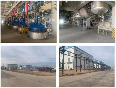 惡唑酰草胺、滅草松等原藥項(xiàng)目建成投產(chǎn),寧夏藍(lán)田已投資超過3.2億元