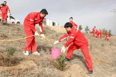 長慶油田采油七廠 企地共建“同心林”，科技賦能綠色發展